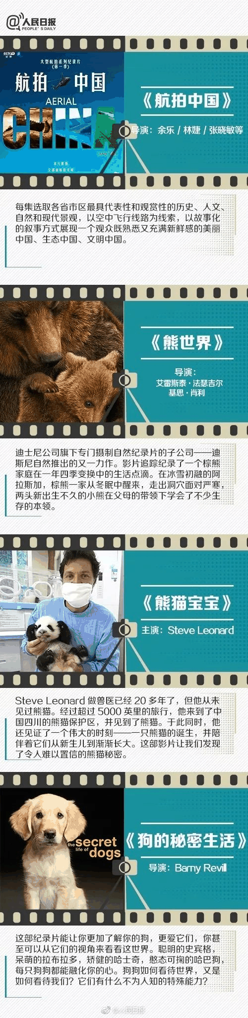 人民日報推薦！小長假陪孩子看這些紀錄片，勝過出門玩五天
