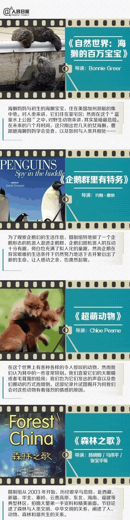 人民日報推薦！小長假陪孩子看這些紀錄片，勝過出門玩五天