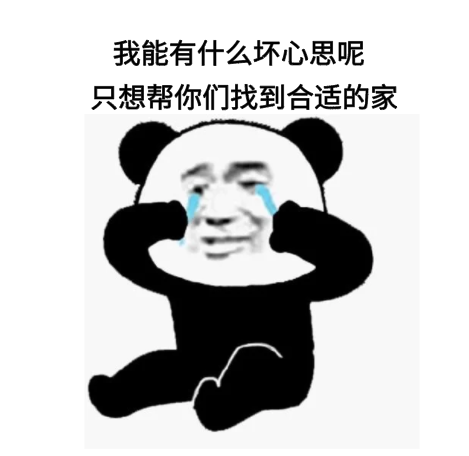 我一個賣房子的能有什么壞心思呢？無非就是給你們一個溫暖的家 ，可以娶老婆，可以貸款，可以上學，幾年后還可以翻倍賺好多錢！