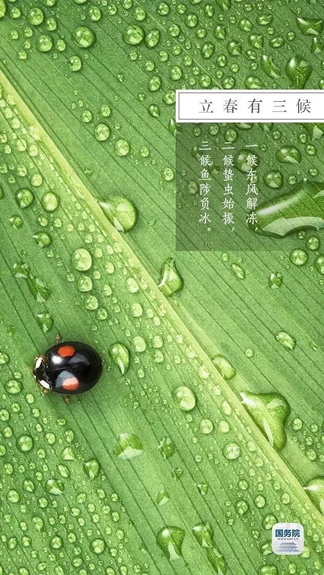 今日立春 | 在這里，邂逅最美春天……