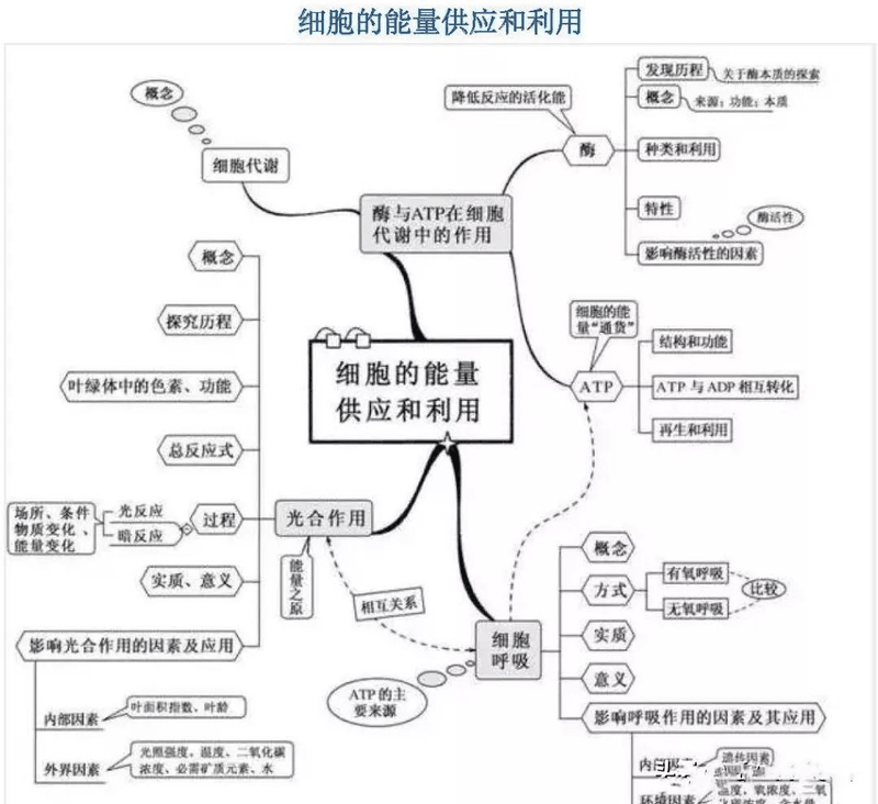 高中生這樣進(jìn)行課后復(fù)習(xí)比聽課都重要，您孩子做到了嗎？