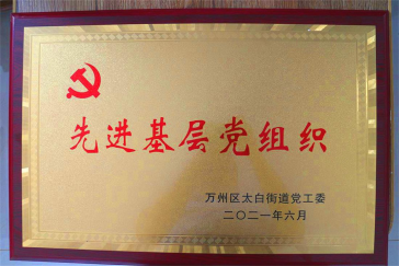 集團黨支部回報社會，努力踐行社會責(zé)任與擔(dān)當(dāng)